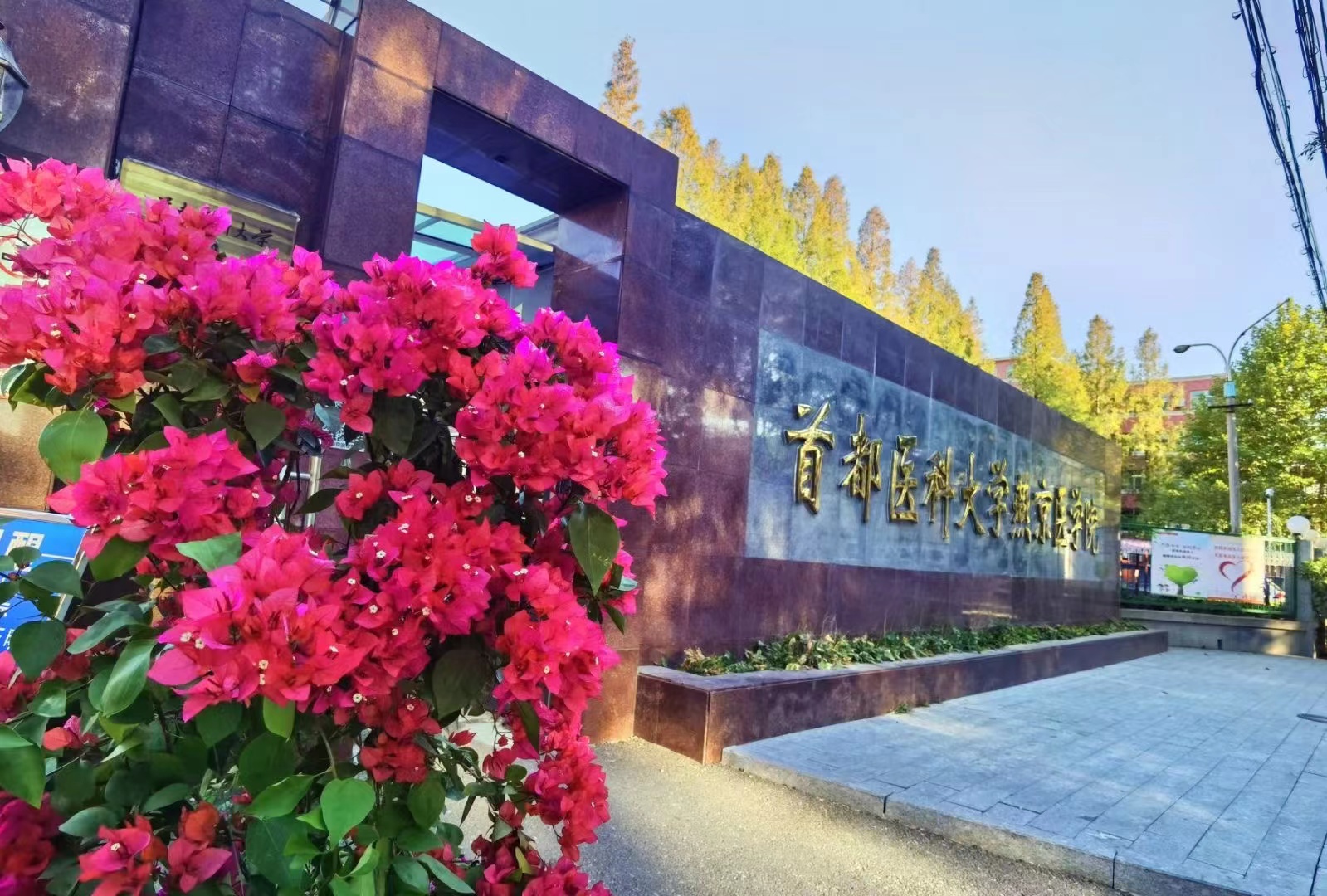 校区校门
